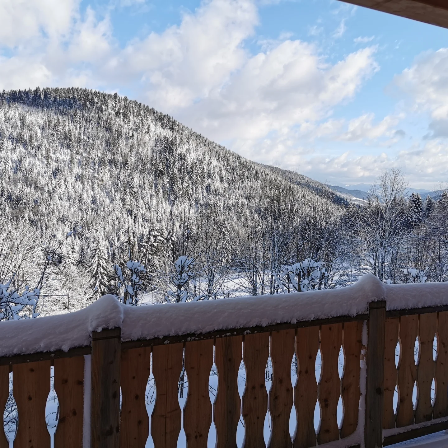 cabin — no filter, no crowds, no stress