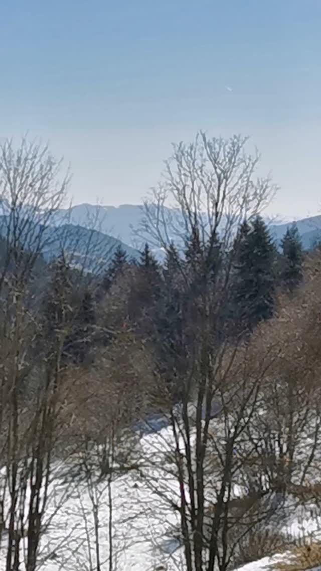 breathtaking mountain panorama from cabin
