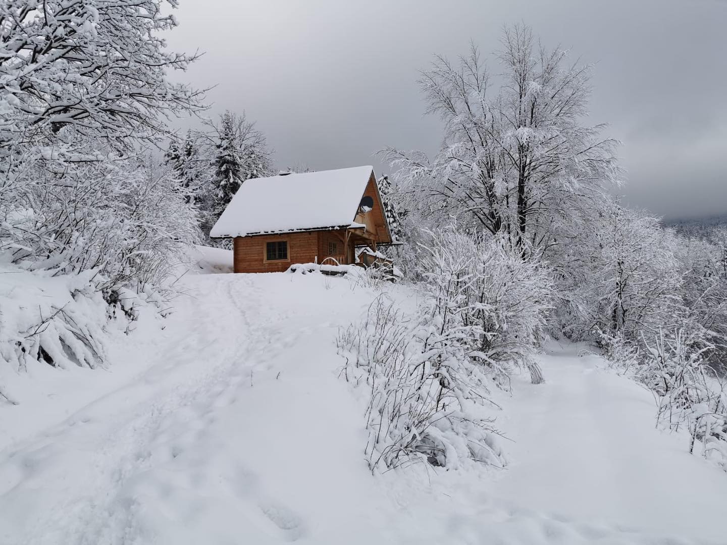 deep snow — over a meter